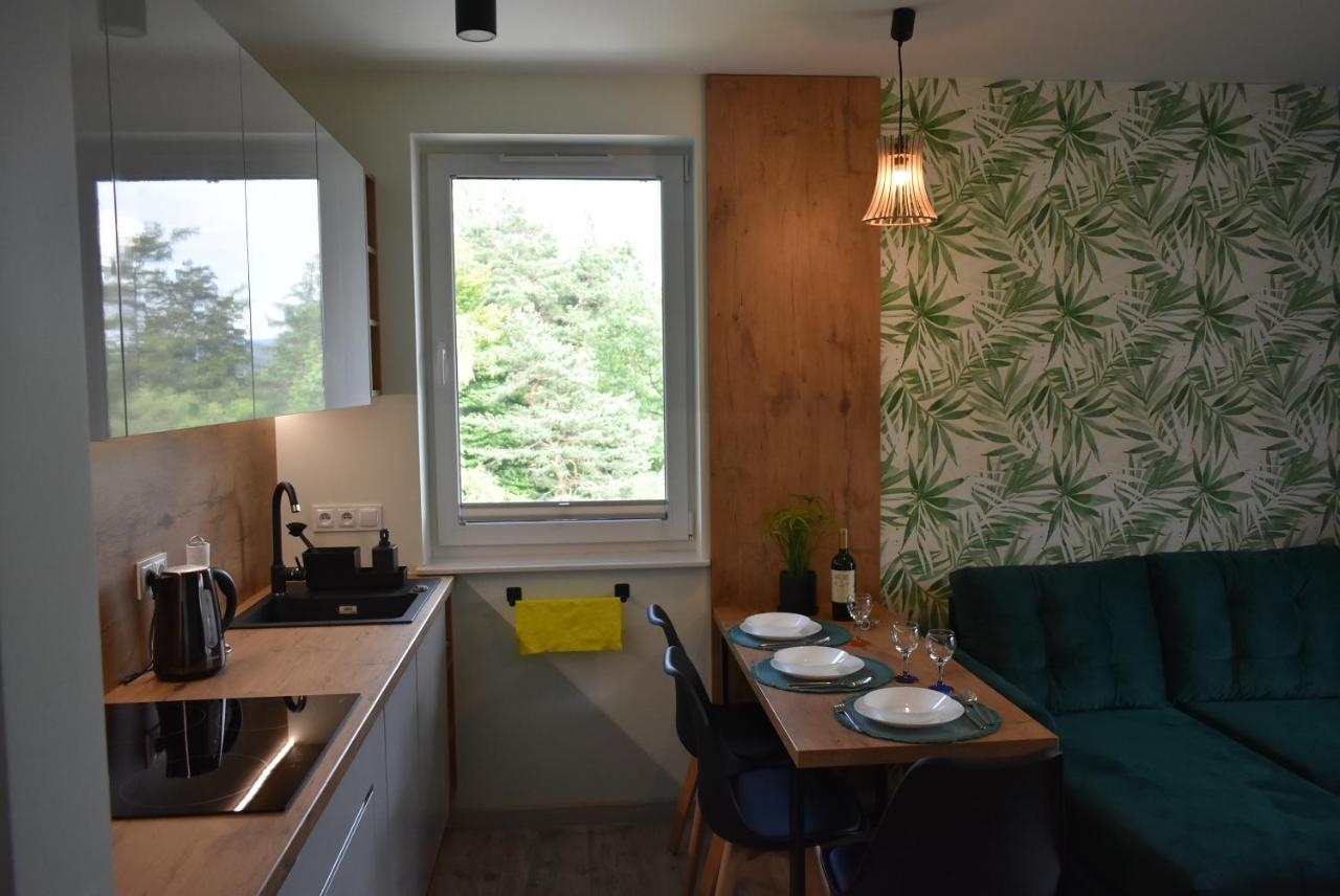 Apartament Resto Świeradów-Zdrój 外观 照片
